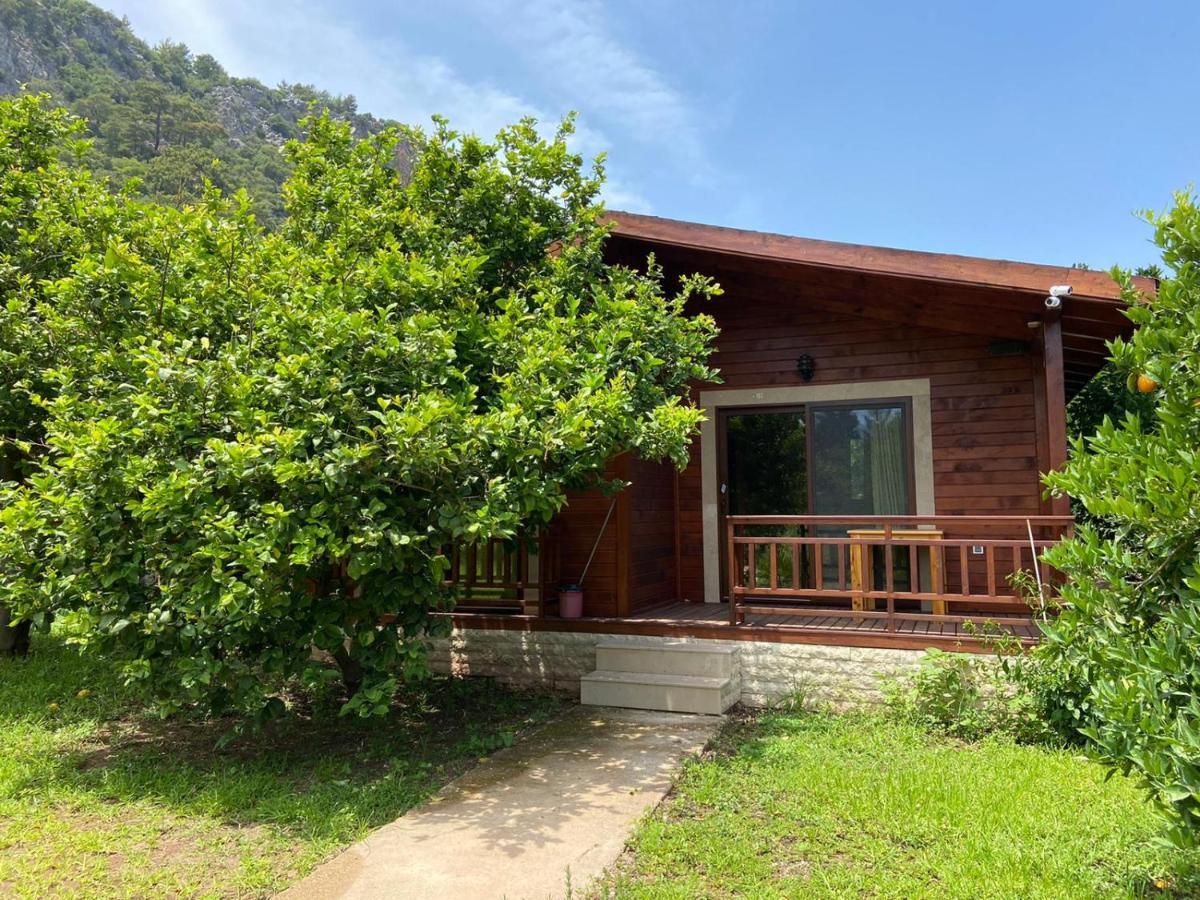 Cirali Villas 2 מראה חיצוני תמונה