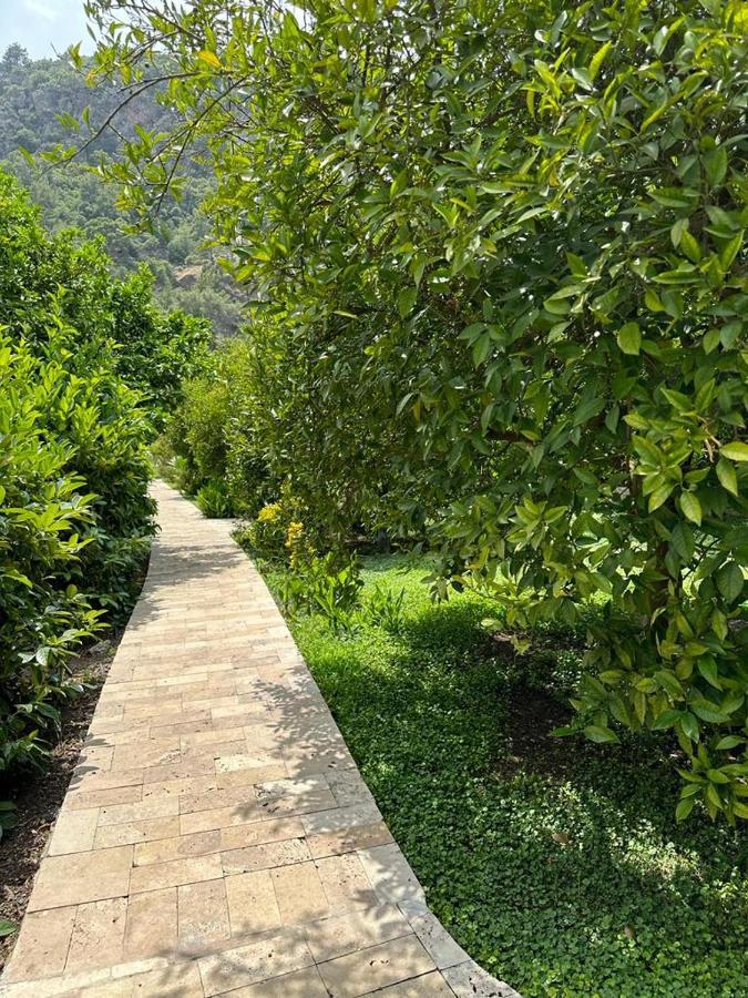 Cirali Villas 2 מראה חיצוני תמונה