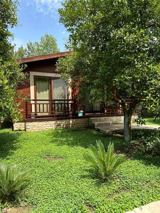 Cirali Villas 2 מראה חיצוני תמונה