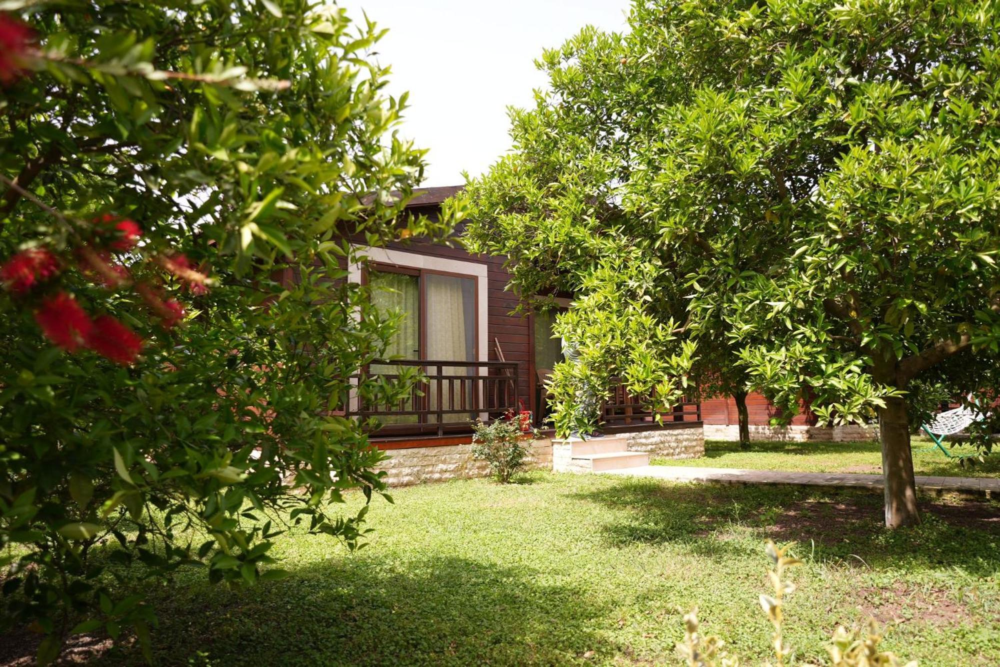 Cirali Villas 2 מראה חיצוני תמונה
