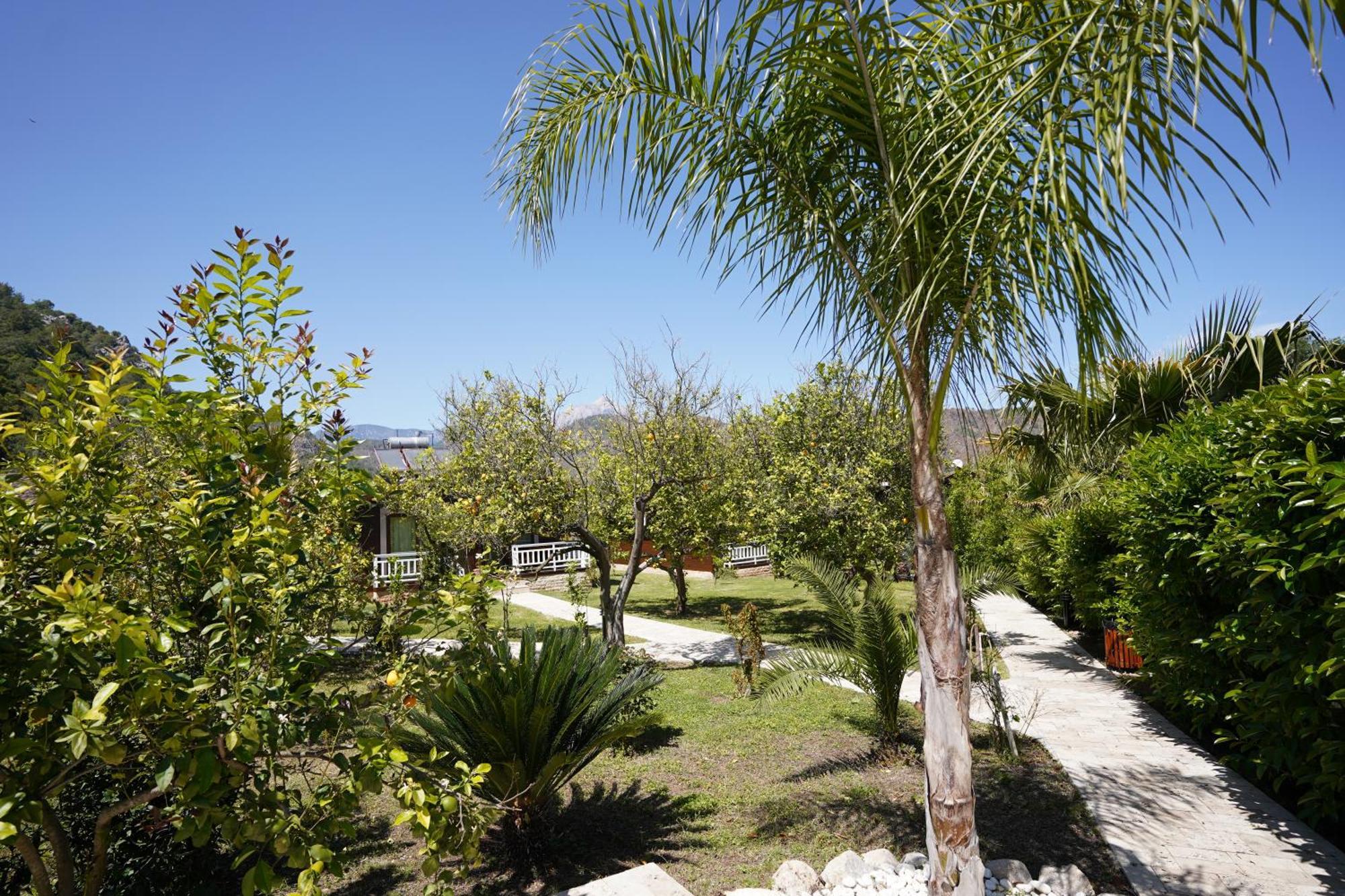 Cirali Villas 2 מראה חיצוני תמונה
