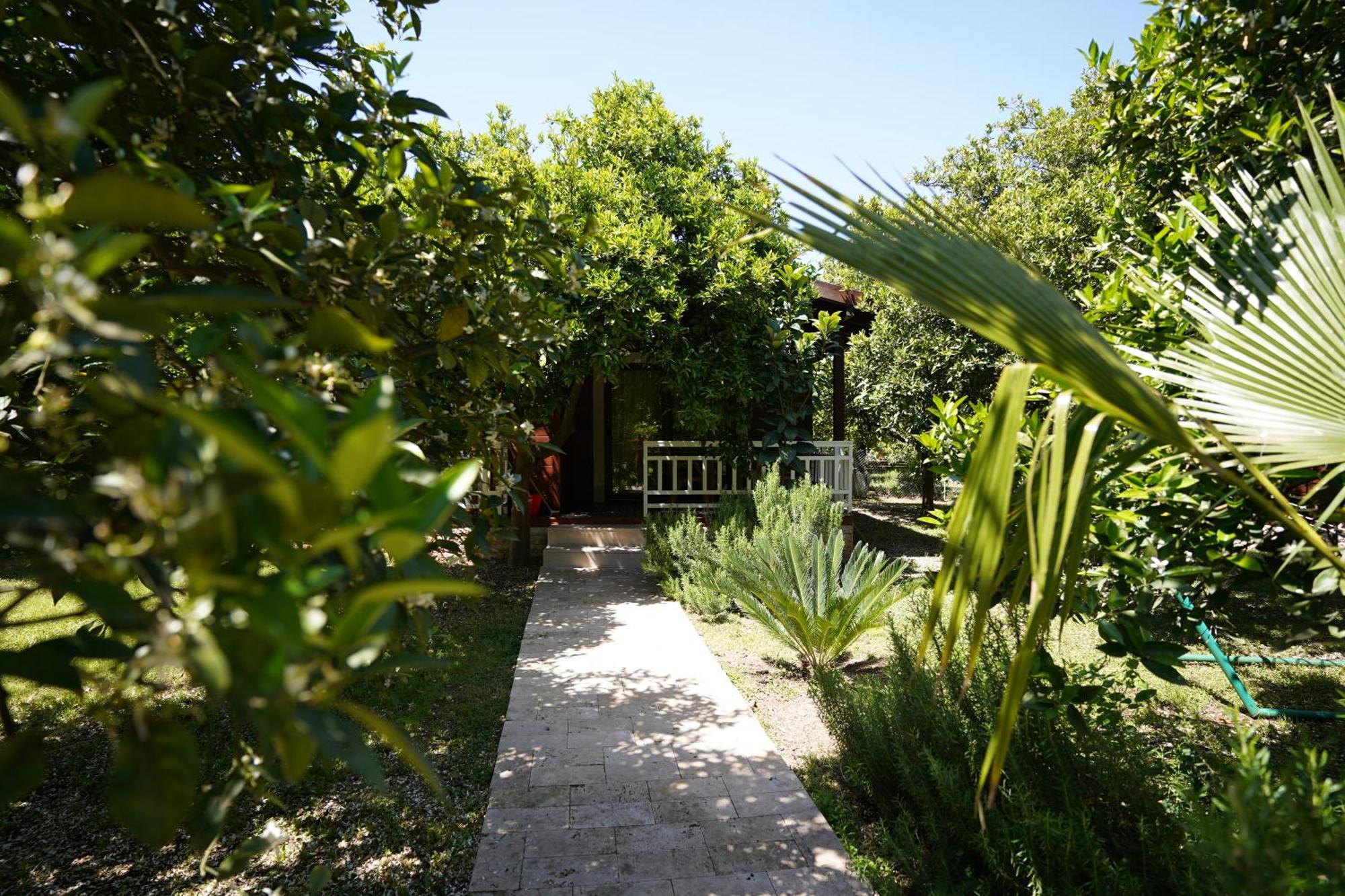 Cirali Villas 2 מראה חיצוני תמונה